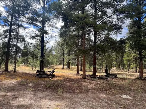 8 Columbine Ct, Leadville, CO 80461