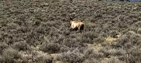 tbd Hwy 40, Maybell, CO 81640