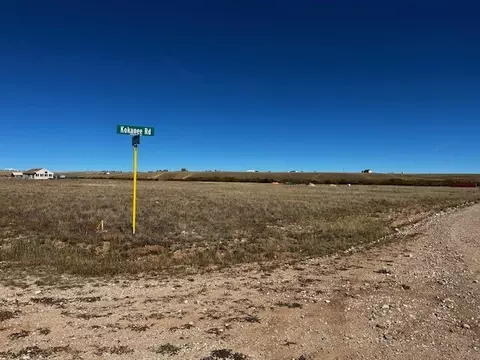 645 Kokanee Rd, Fairplay, CO 80440