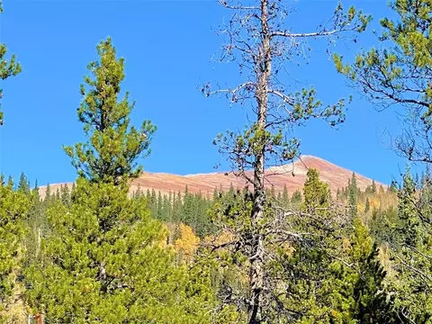 0 Mosquito Cir, Alma, CO 80420