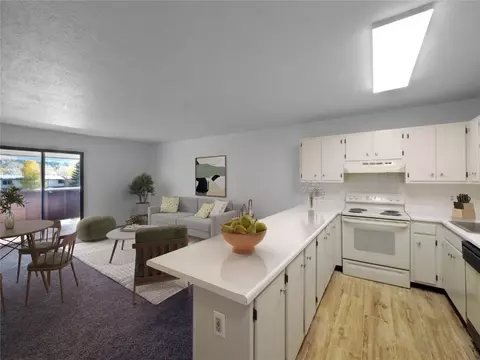 371 W 4th St #303, Silverthorne, CO 80498