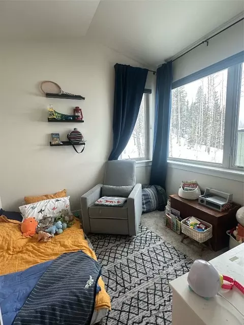 231 Haymaker St, Silverthorne, CO 80498 photo 12