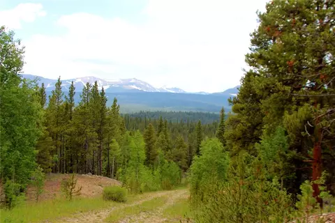 tbd Glacier Ridge Rd, Alma, CO 80420