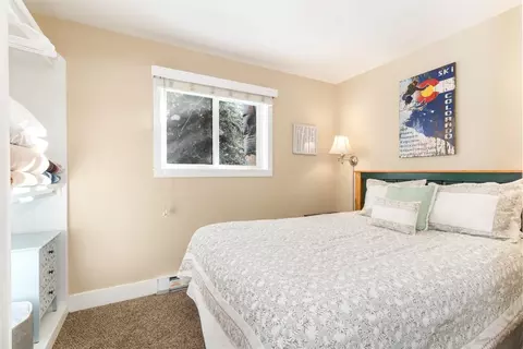 110 Sawmill Rd #4B, Breckenridge, CO 80424 photo 9