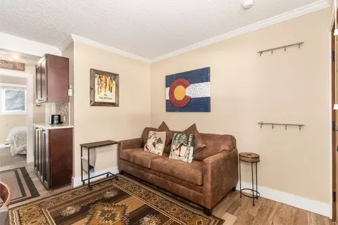 110 Sawmill Rd #4B, Breckenridge, CO 80424 photo 15