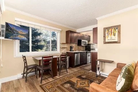 110 Sawmill Rd #4B, Breckenridge, CO 80424 photo 3