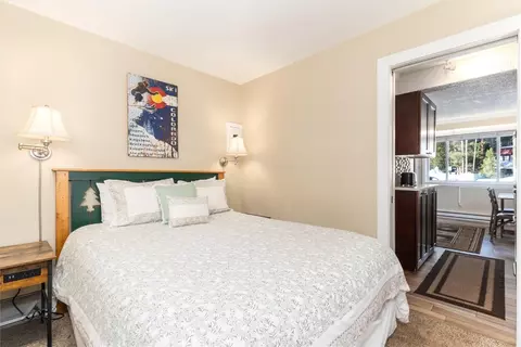 110 Sawmill Rd #4B, Breckenridge, CO 80424 photo 19