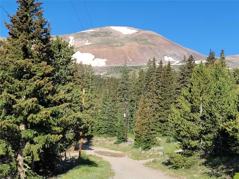 22 Rons Rd, Alma, CO 80420