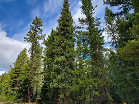 165 Silverheels Pl, Fairplay, CO 80440