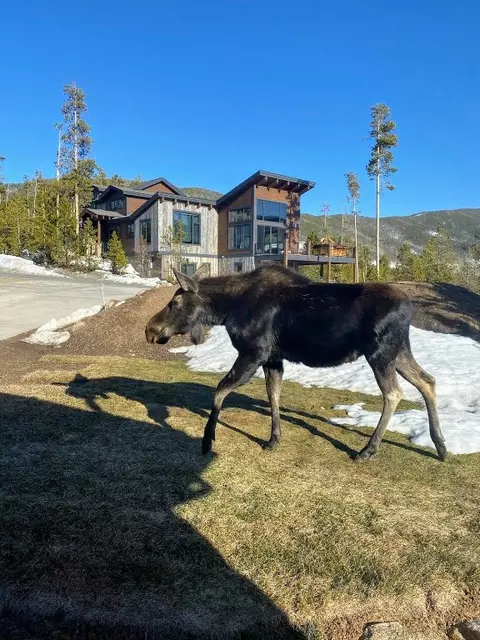 86 Snowberry Way, Dillon, CO 80435 photo 39