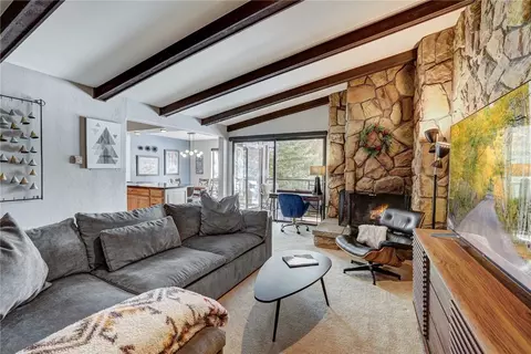 176 E La Bonte St #307, Dillon, CO 80435