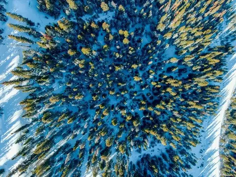 631 Cr 805, Breckenridge, CO 80424