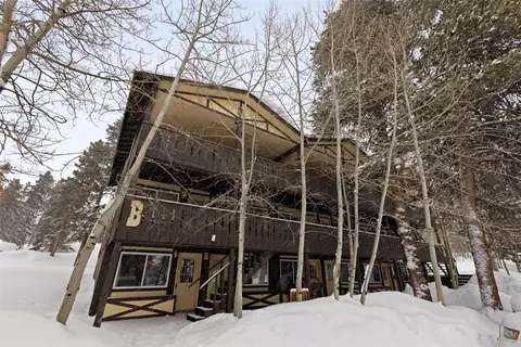 1941 Boreas Pass Rd #1A, Breckenridge, CO 80424