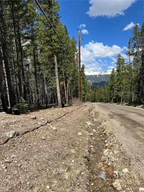 0104 Cr 534, Breckenridge, CO 80424