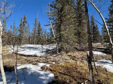192 Bear Way, Como, CO 80432 photo 8
