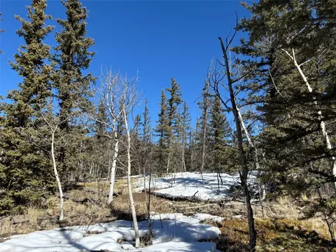 192 Bear Way, Como, CO 80432 photo 3