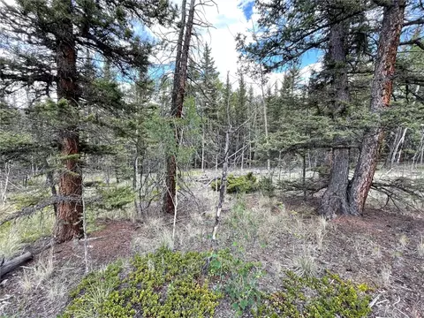80 Haida Way, Como, CO 80456 photo 8