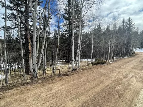 80 Haida Way, Como, CO 80456 photo 29