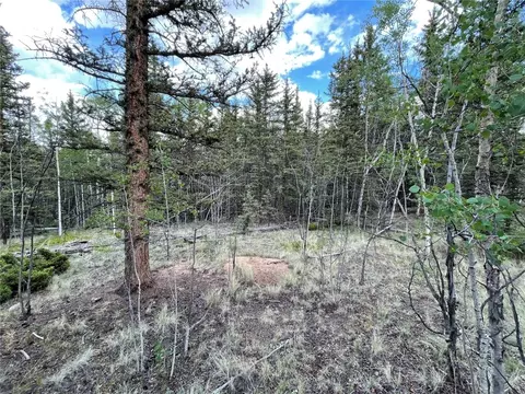80 Haida Way, Como, CO 80456 photo 9