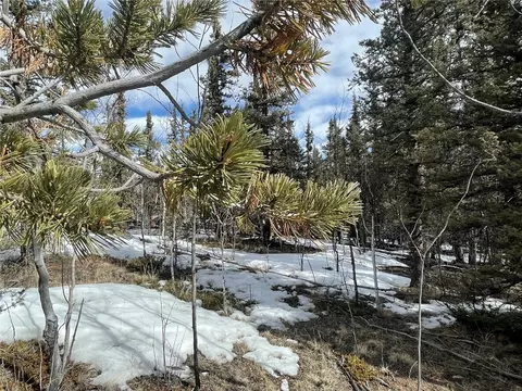 80 Haida Way, Como, CO 80456 photo 14