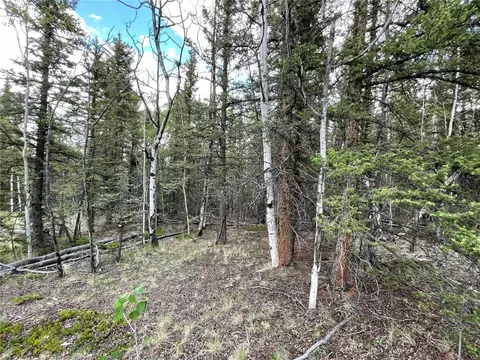 80 Haida Way, Como, CO 80456 photo 13