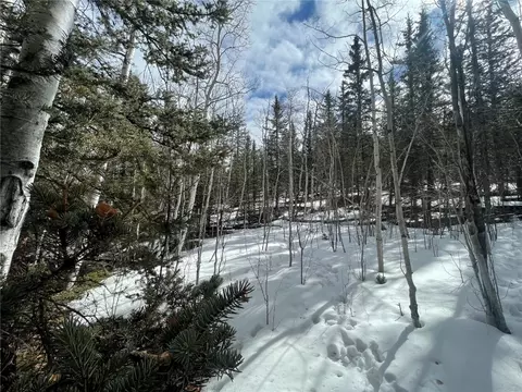 80 Haida Way, Como, CO 80456 photo 23