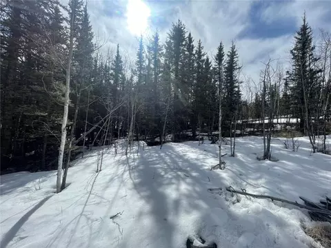 80 Haida Way, Como, CO 80456 photo 21
