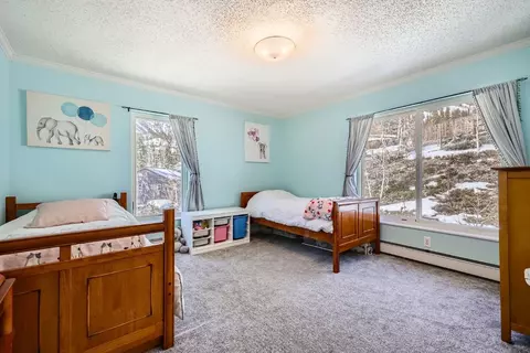 371 Forest Dr, Frisco, CO 80443 photo 21