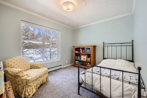 371 Forest Dr, Frisco, CO 80443 photo 23