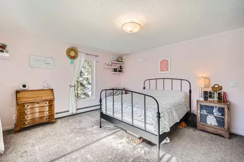 371 Forest Dr, Frisco, CO 80443 photo 20