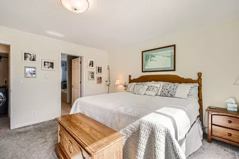 371 Forest Dr, Frisco, CO 80443 photo 16