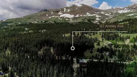 127 Ansley Ave, Alma, CO 80440