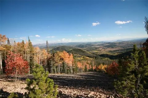 tbd Mango Pl, Clark, CO 80428 photo 16