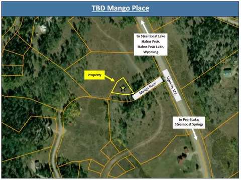 tbd Mango Pl, Clark, CO 80428 photo 9