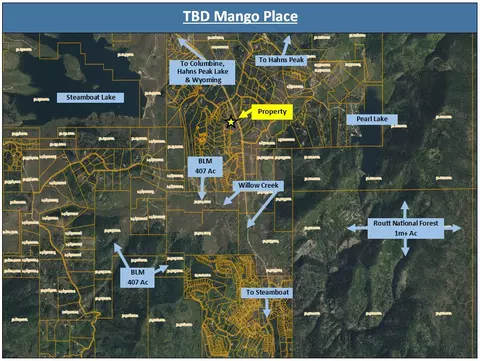 tbd Mango Pl, Clark, CO 80428 photo 8
