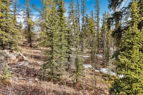 67 Bear Ln, Como, CO 80456 photo 6