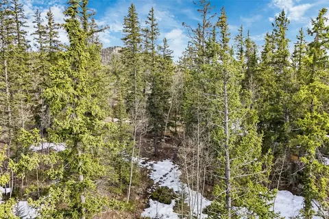 67 Bear Ln, Como, CO 80456 photo 11