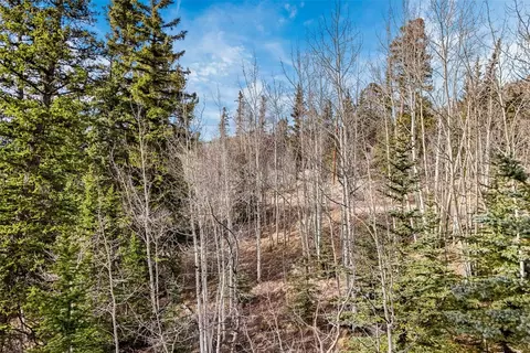 67 Bear Ln, Como, CO 80456 photo 8