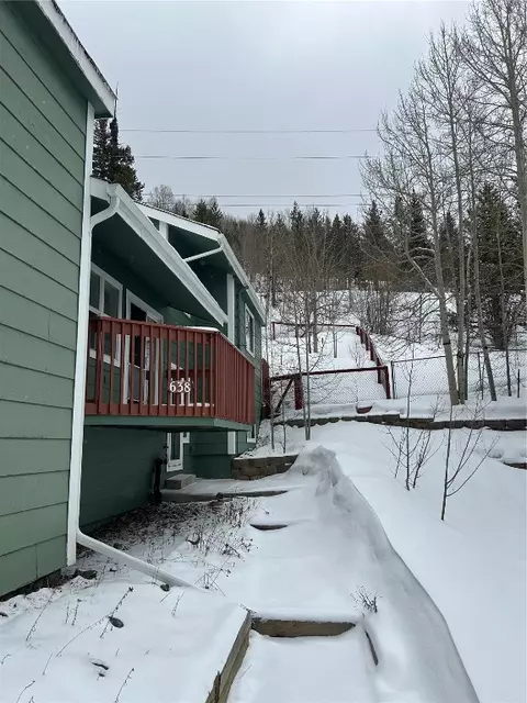 638 Alpine Rd, Dillon, CO 80435 photo 3