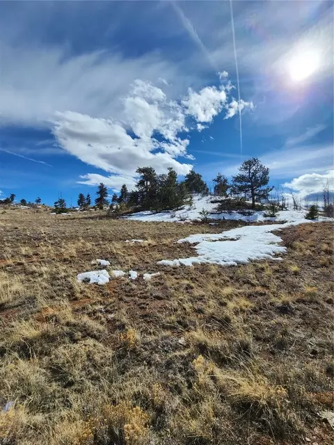 6028 Uintah Trl, Hartsel, CO 80449
