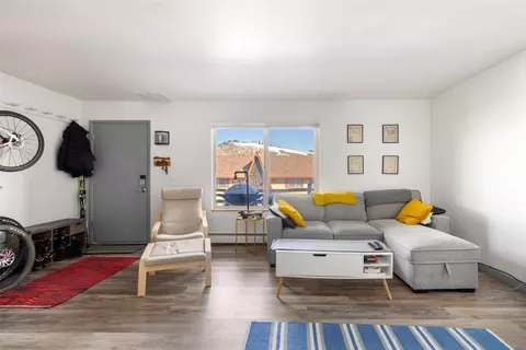 170 Evergreen Rd #103, Dillon, CO 80435 photo 8