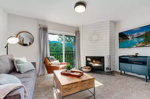 401 S Ridge St #21, Breckenridge, CO 80424