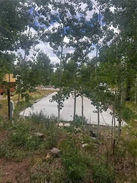 228 Sunshine Loop, Fairplay, CO 80440 photo 4
