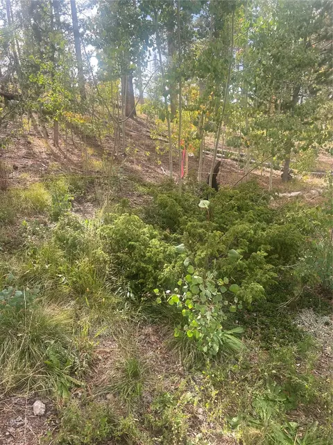 228 Sunshine Loop, Fairplay, CO 80440 photo 5