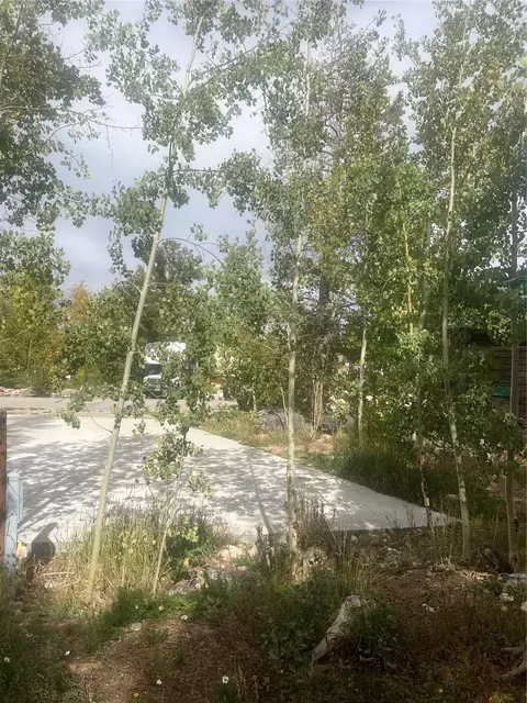 228 Sunshine Loop, Fairplay, CO 80440 photo 3