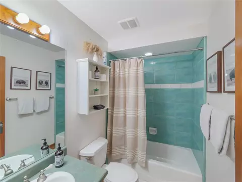 Bath - 77 B Rd, Silverthorne, CO 80498 photo 5 of 5