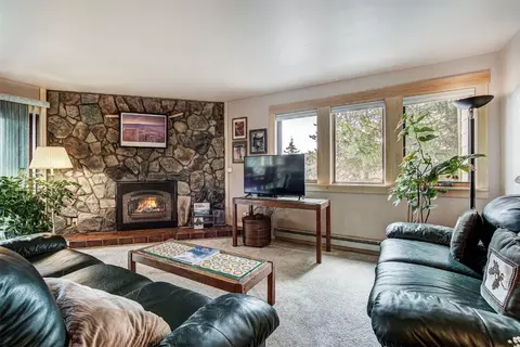 325 Four O Clock Rd #101, Breckenridge, CO 80424