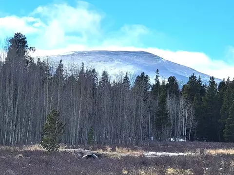 162 Thickspike Rd, Fairplay, CO 80440