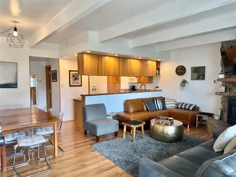 Living - 370 E La Bonte St #C, Dillon, CO 80435 photo 2 of 2