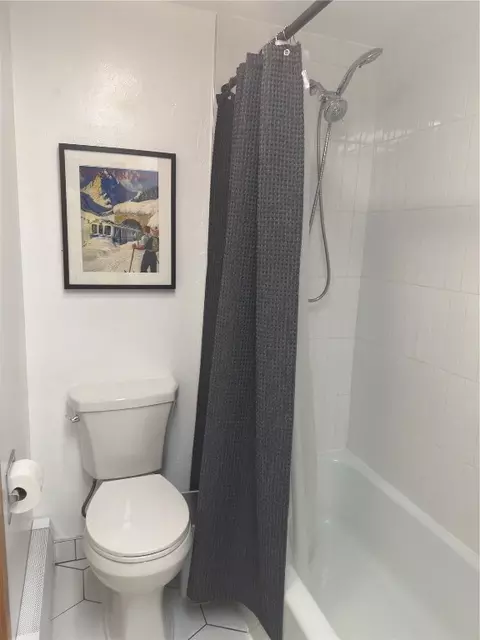 Bath - 370 E La Bonte St #C, Dillon, CO 80435 photo 2 of 4